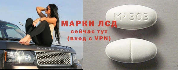 гидра Покачи