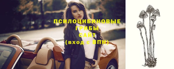 ПСИЛОЦИБИНОВЫЕ ГРИБЫ Пестово