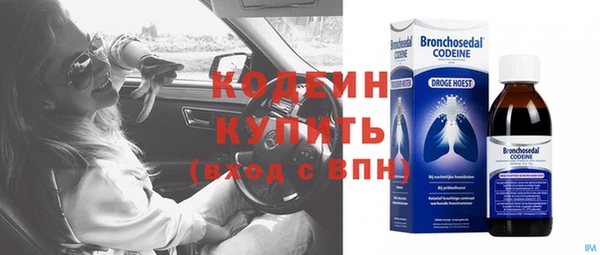 дмт Пересвет