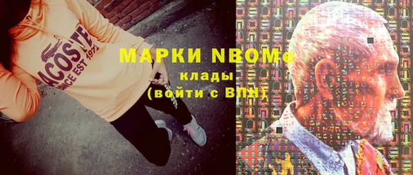 дмт Пересвет