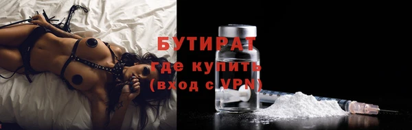 гидра Покачи