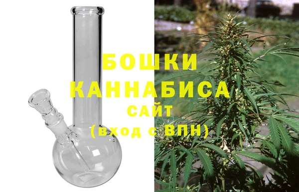 гидра Покачи