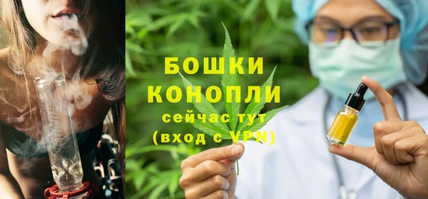 гидра Покачи