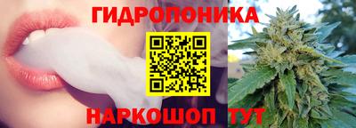 дживик Волжск