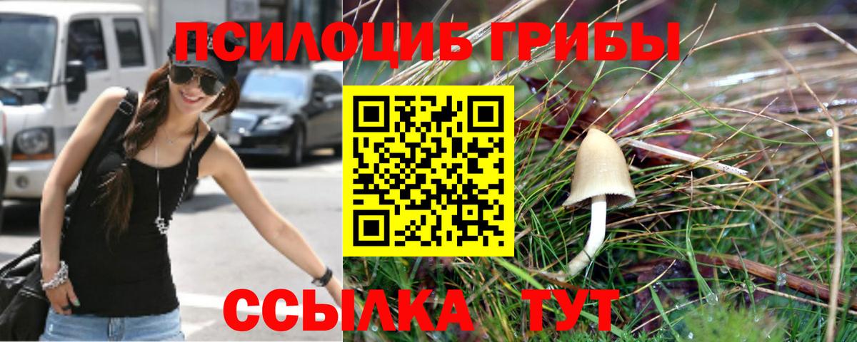 купить наркотик  Вход с VPN  Кудымкар  Галлюциногенные грибы GOLDEN TEACHER  Галлюциногенные грибы Psilocybine cubensis 
