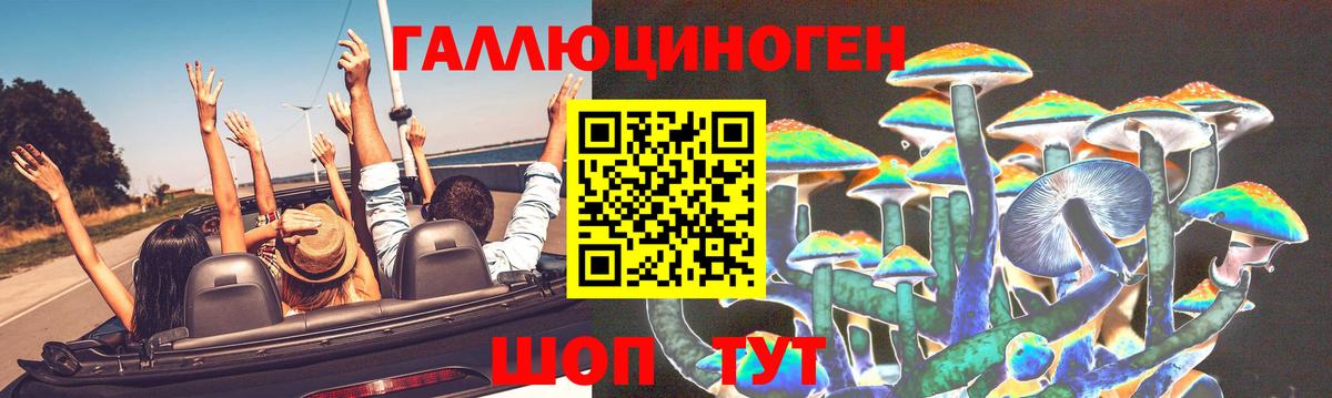 Галлюциногенные грибы прущие грибы Кудымкар