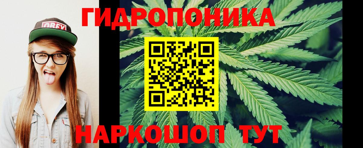 Конопля AK-47  Вход с VPN  Кудымкар  Бошки марихуана Bruce Banner  Бошки Шишки семена 